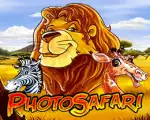 Photo Safari